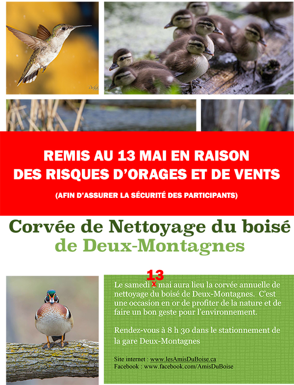 Corve de nettoyage remis au 13 mai