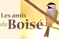 Les amis du Boisé